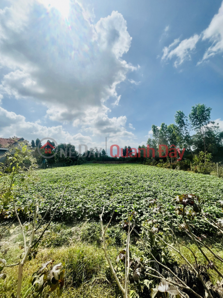 CODE 963 (NH-19): SELLING GARDEN LAND IN NHA SU VILLAGE, NINH THAN, NINH HOA. Sales Listings