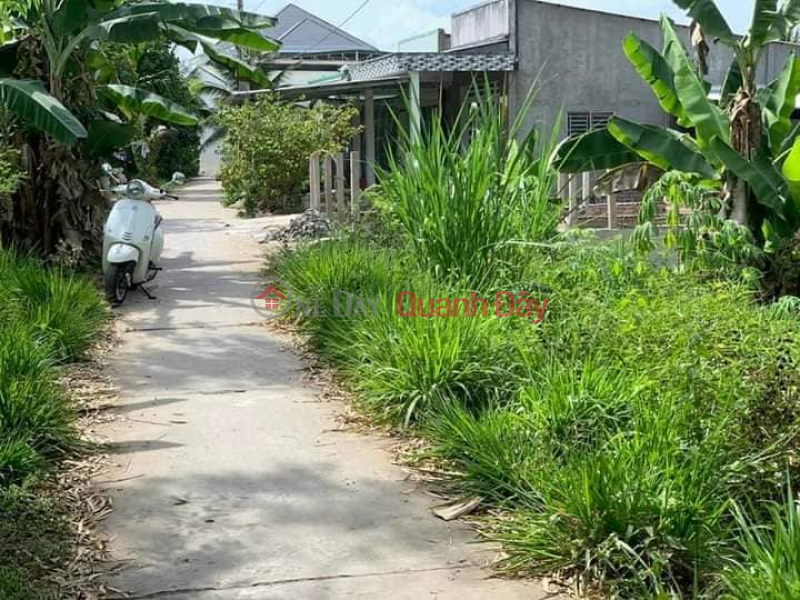 Selling full residential land DONG THUAN ward Sales Listings