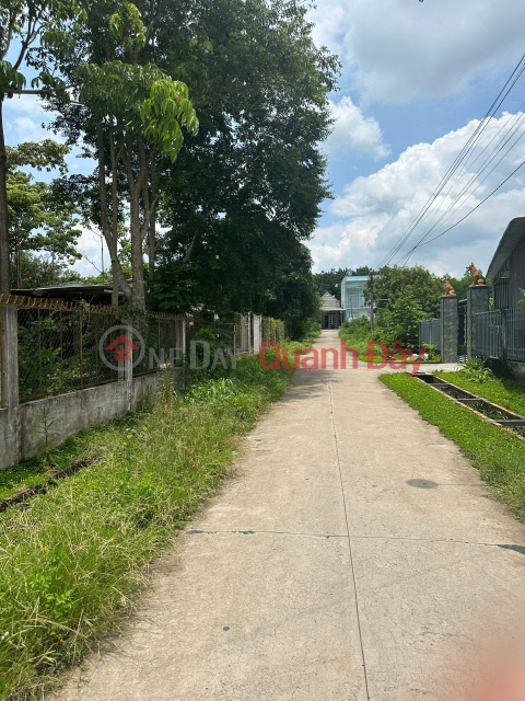 Land for sale in Village 3, Tan Ha Commune, Duc Linh District Price: 3 Billion _0