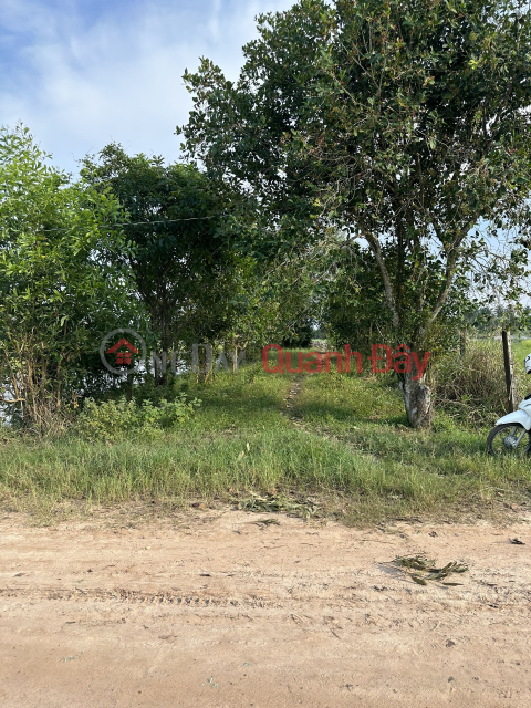 OWNER SELLING LAND LOT URGENTLY, Beautiful Location In Tien Thuan, Ben Cau, Tay Ninh _0