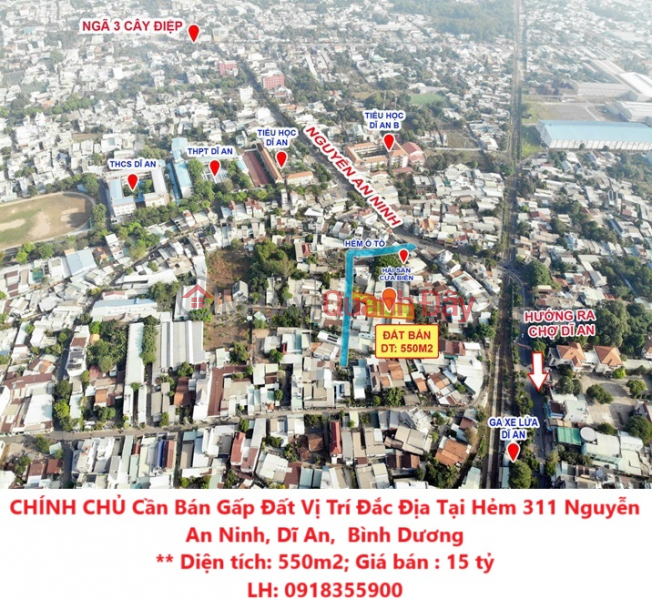 OWNER Urgently Needs to Sell Land in Prime Location at Alley 311 Nguyen An Ninh, Di An, Binh Duong Sales Listings