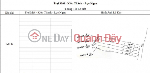 CƠ HỘI ĐẦU TƯ SINH LỜI CAO ĐẤT THUỘC THỊ XÃ CHŨ- BẮC GIANG- SỞ HỮU FARM DÒNG TIỀN ỔN ĐỊNH _0