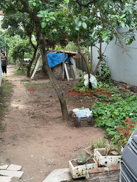 Land for sale in Trang Viet, Me Linh. Full residential land, car parking. Ahead of Thuong Cat bridge project _0