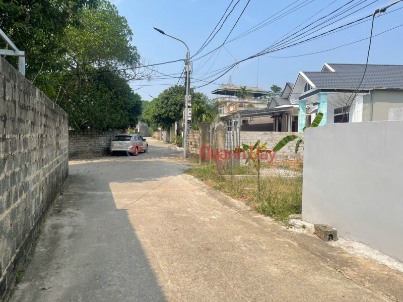 Owner land 230m2 near Xuan Khanh market - Good price - Son Tay, Hanoi Sales Listings