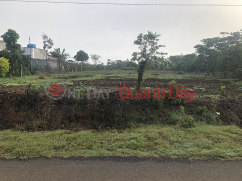 ĐẤT ĐẸP - GIÁ TỐT - Chính Chủ Cần Bán Đất Vị Trí Đẹp Tại Thôn 7 Lộc Tân - Bảo Lâm - Lâm Đồng _0