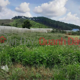 BEAUTIFUL LAND - GOOD PRICE - OWNER NEEDS TO SELL LAND PLOT At Address: Lac Xuan Commune, Don Duong, Lam Dong _0