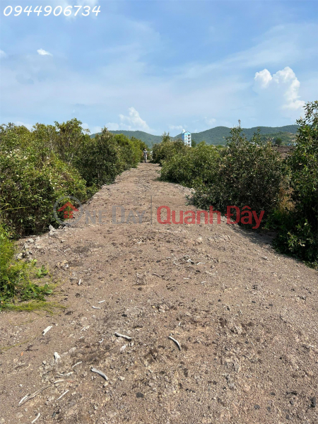 đ 1,6 tỷ, Cần tiền bán nhanh lô đất Xã Bình Trị, Kiên Lương, Kiên Giang, DT 30.000 m2, giá 1.6 tỷ