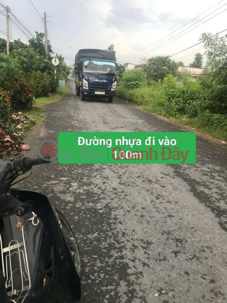 Get an immediate discount of 100 million VND - Own a beautiful fruit orchard now - An Binh Commune, Vinh Long - Existing residential area Sales Listings