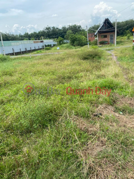 BEAUTIFUL LAND - EXTREMELY SHOCKING PRICE - OWNER FOR SALE Land Lot Loc Ninh, Duong Minh Chau, Tay Ninh Sales Listings