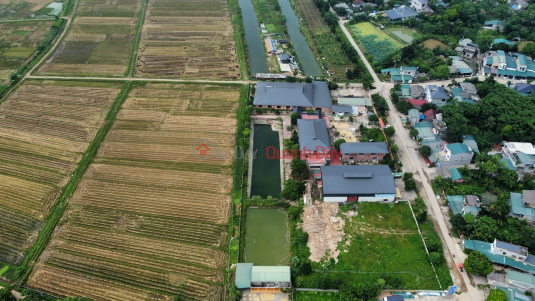 Property Search Vietnam | OneDay | Residential Sales Listings Transfer of Viet Gap safe agricultural project in Tuyen Quang