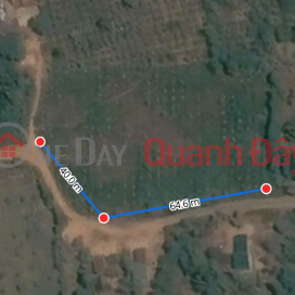 OWNER NEEDS TO SELL LAND LOT QUICKLY In Eaka District, Dak Lak _0
