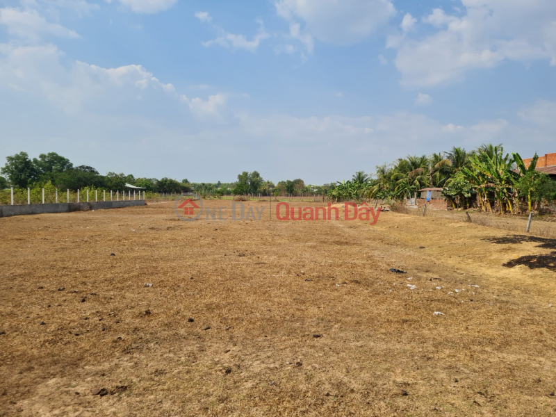 Bán gấp lô đất Mặt tiền đường ĐT 821, xã Lộc Giang, huyện Đức Hòa, tỉnh Long An. Sales Listings