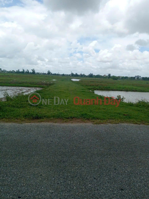 LAND FOR SALE IN URBAN AREA 379 QUANG TRUNG WARD, SELLING PRICE 4.7 BILLION _0