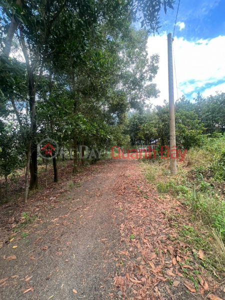 đ 600 Million | HOT HOT - NEED TO SELL LAND LOT IN Dong Tien, Dong Tien Commune, Dong Phu District, Binh Phuoc