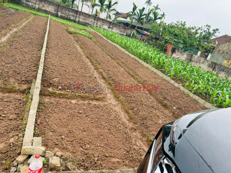 đ 4,37 tỷ, Đất đẹp - Vị trí đẹp tại Bãi Sậy 2, Tân Dân, Khoái Châu, Hưng Yên