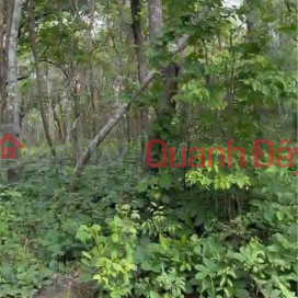 TRANSFER OF 160 HEECTS OF PROJECT LAND – HAM TAN, BINH THUAN _0