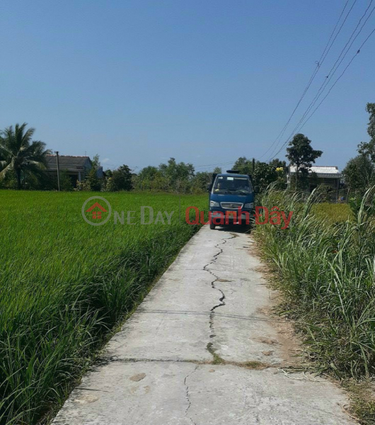 Property Search Vietnam | OneDay | Nhà ở Niêm yết bán Đất lúa khu vực cho chuyen thổ