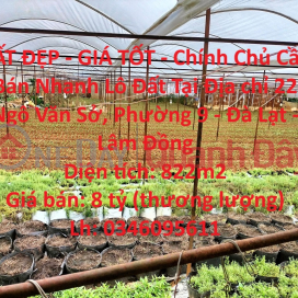 BEAUTIFUL LAND - GOOD PRICE - Owner Needs To Sell Quickly Land Lot In Da Lat City, Lam Dong _0