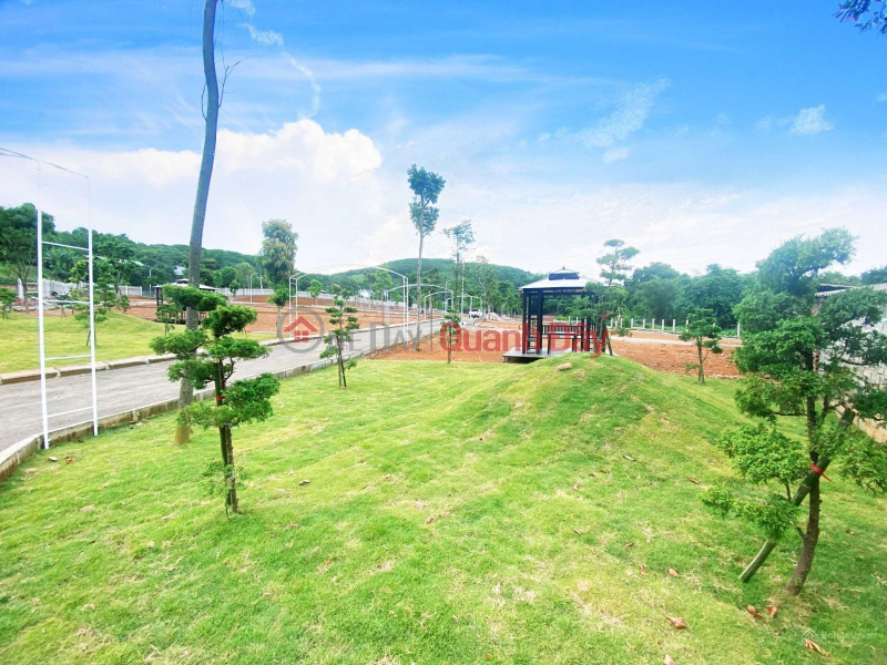 Urgent sale of 160m² plot of land next to Dong Xuan primary school, 10m frontage, 16m square side to build a garden villa. | Vietnam Sales, ₫ 1.92 Billion