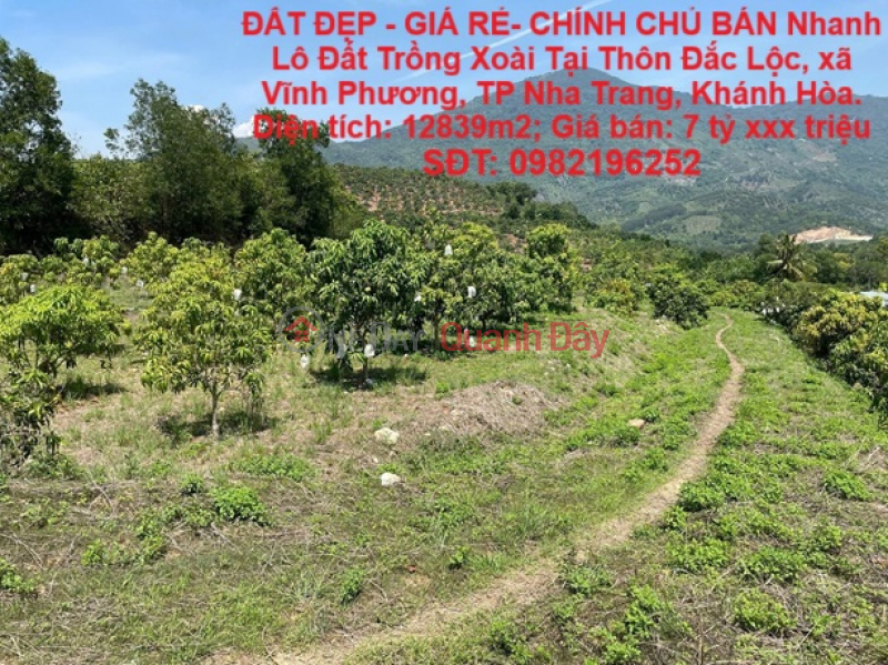 BEAUTIFUL LAND - CHEAP PRICE - OWNER QUICKLY SELLS Plot of Land for Growing Mangoes in Vinh Phuong, Nha Trang, Khanh Hoa Sales Listings