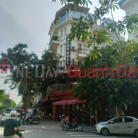 BÁN NHÀ PHÂN LÔ NGHĨA ĐÔ, LÔ GÓC VIEW ĐẮC ĐỊA, VỈA HÈ ÔTÔ TRÁNH, KD, HƠN 20 TỶ _0