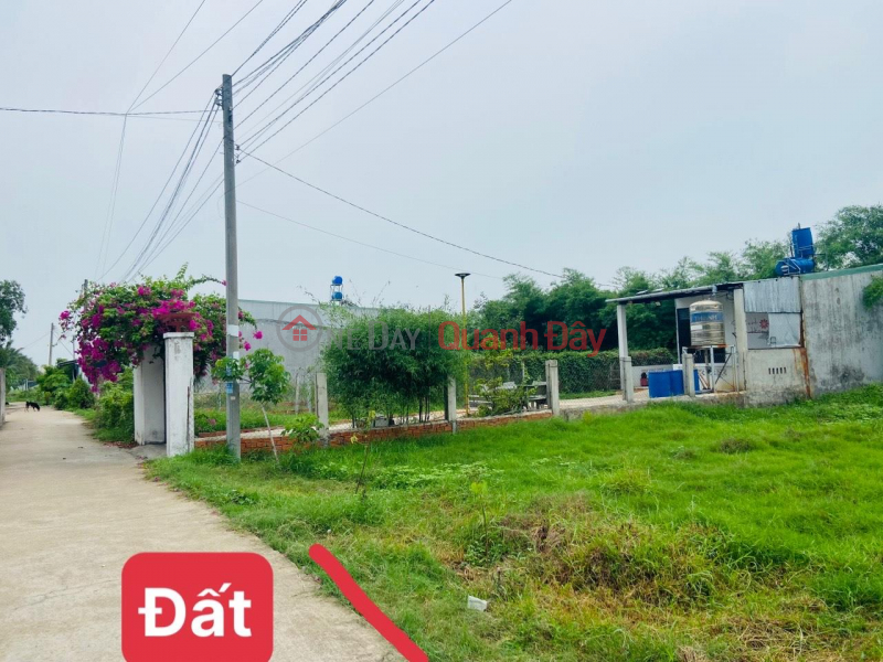 Beautiful Land - Good Price - Fast Selling Residential Land in Hot Location in Duc Hoa, Long An | Vietnam Sales đ 1.2 Billion