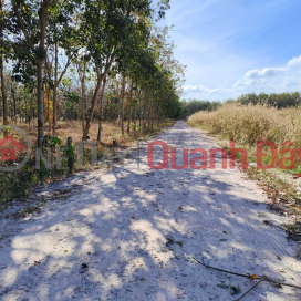 EXTREMELY RARE OWNERS SELL 1.3HA RUBBER BATH LAND - 8 YEARS OLD RUBBER, 5M WIDE ROAD, CLEAN WATER, ELECTRICITY TO THE GARDEN _0