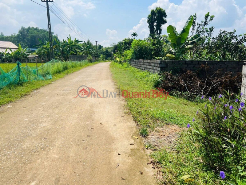 Property Search Vietnam | OneDay | Nhà ở Niêm yết bán | CHÍNH CHỦ CẦN BÁN LÔ ĐẤT 7614,3M TẠI KIM BÔI-HÒA BÌNH