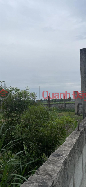 Property Search Vietnam | OneDay | Nhà ở, Niêm yết bán CHÍNH CHỦ CẦN BÁN Lô Đất Vị Trí Đẹp Tại Ấp 1, Xã Lạc Tấn, Huyện Tân Trụ, Long An