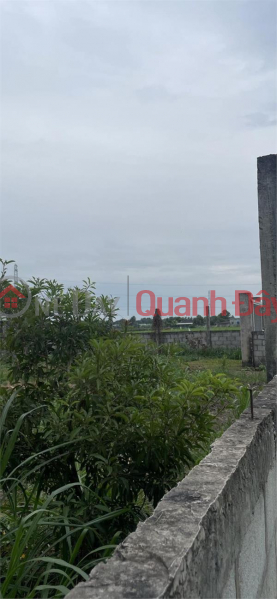 Property Search Vietnam | OneDay | Residential Sales Listings FOR SALE Land Plot, Beautiful Location, Hamlet 1, Lac Tan Commune, Tan Tru District, Long An