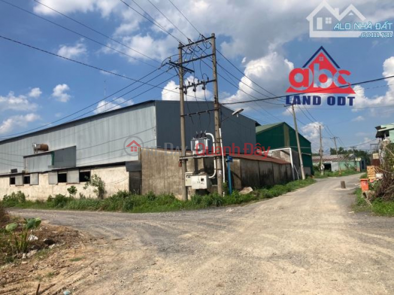 Need to transfer garden land lot on Dien Bien Phu street frontage, Lac Tanh town, Tanh Linh, Binh Thuan Sales Listings