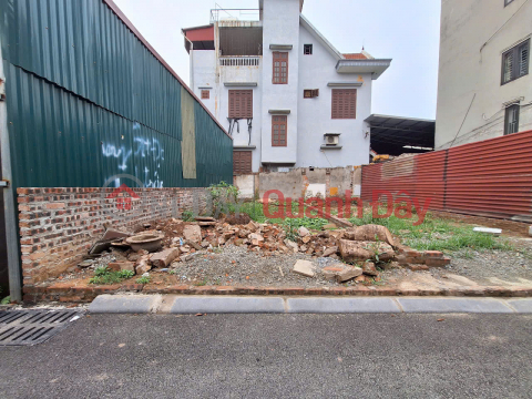 SUPER RARE 44.3M2 TO UY NO HAMPTON, DONG ANH - CAR PARKING AT THE DOOR, OVER 4 BILLION _0