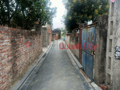 LAND FOR SALE 54.4M2 MANH TAN THUY LAM DONG ANH - CAR ACCESS TO LAND IS ONLY ABOVE 3 BILLION _0