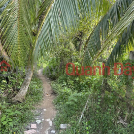 OWNER Urgently Needs To Sell Land Plot Location At Tan Phu Tay Commune, Mo Cay Bac District, Ben Tre _0
