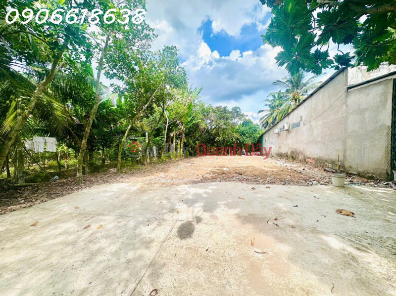 Bán đất CLN 3834m2 ở Ấp Miễu Hội, Xã Thạnh Phú, Châu Thành, Tiền Giang, 5,9 tỷ | Việt Nam | Bán, đ 5,9 tỷ