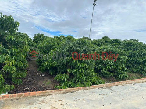 Bán 21000m2 ( 21 sào ) đất nhà , ao, vườn cà phê -Xã Liên Hiệp - Đức Trọng Lâm Đồng _0