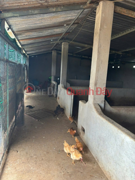 HOT HOT –CẦN BÁN NHANH 2 LÔ ĐẤT GIÁ TỐT – Khu phố 6, thị trấn Tân Sơn, Ninh Thuận. Việt Nam | Bán | đ 1,25 tỷ