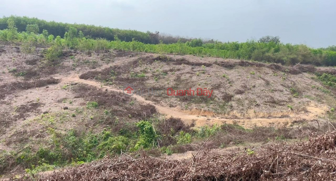 OWNER'S LAND - GOOD PRICE - FOR SALE 2 LOTS In Tri An Commune, Vinh Cuu District, Dong Nai Province Sales Listings