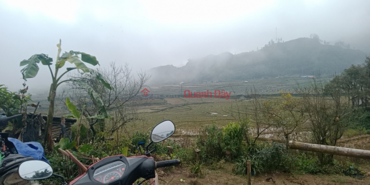 Property Search Vietnam | OneDay | Residential | Sales Listings, NEED TO PROMISE URGENTLY SELL SAPA LOT OF LAND SUPER CHEAP PRICE BEAUTIFUL LOCATION