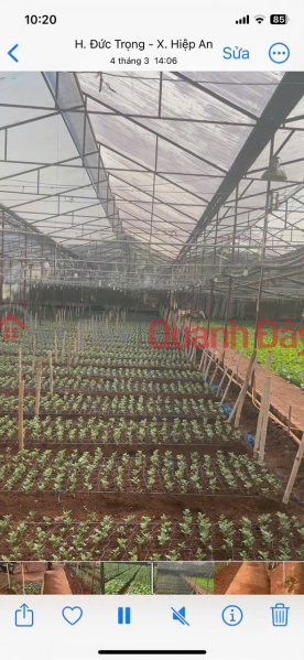 Property Search Vietnam | OneDay | Residential | Sales Listings | PRICE REDUCTION - SELLING NEARLY 5000M2 HIEP AN - 5 BILLION VND DISCOUNT