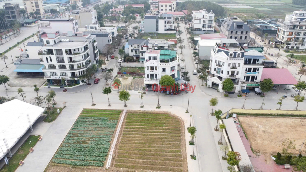 CHÍNH CHỦ GỬI BÁN BIỆT THỰ 250M – KHU ĐÔ THỊ NGUYÊN KHÊ, Việt Nam | Bán | đ 28,75 tỷ