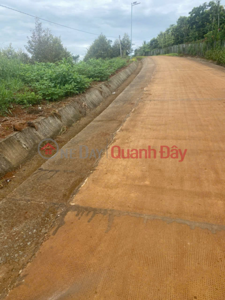 BEAUTIFUL LAND - GOOD PRICE - Need to Sell Quickly Land Lot in Prime Location in Dak R'tih Commune, Tuy Duc, Dak Nong Sales Listings