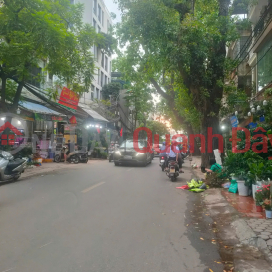 BÁN NHÀ MẶT PHỐ HOÀNG HOA THÁM, 6 TẦNG THANG MÁY, KINH DOANH ĐỈNH, 65M2 CHỈ 25TỶ _0