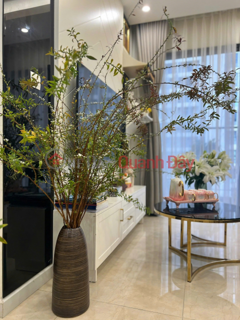 2-bedroom apartment for rent at Vinhomes D'Capitale, 77m2 - fully furnished, ready to move in, only 22 million VND/month. _0