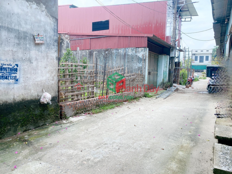 Land for sale in Ha Lam 2 Thuy Lam Dong Anh, slightly higher price 3 X tiny road for cars Sales Listings