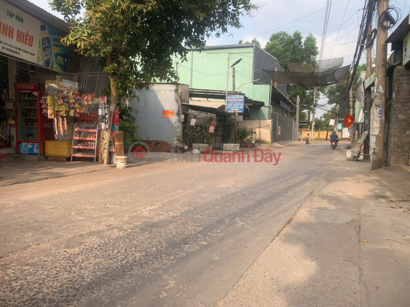 Land for sale, 93.6m2, fully residential land, with a newly built single-story house in Tan Phong Ward, Bien Hoa City, Dong Nai Province., Vietnam Sales đ 3.3 Billion