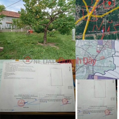 BEAUTIFUL LAND - GOOD PRICE - Owner Sells Land Lot in Nam Tuong 3 Village, Nhon Tan, An Nhon Town, Binh Dinh _0