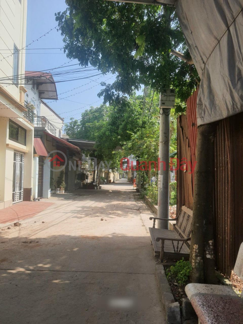 Beautiful Land - Good Price - For Sale By Owner In Cu Son Trung, Yen Son Commune, Quoc Oai District, Hanoi _0