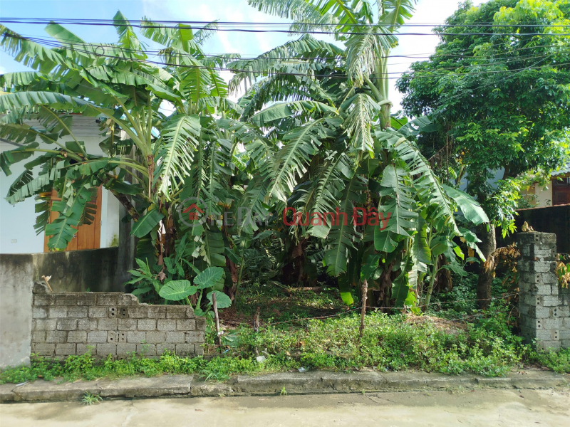 Property Search Vietnam | OneDay | Nhà ở Niêm yết bán | CHÍNH CHỦ CẦN BÁN ĐẤT TẠI Yên Lạc huyện Yên Định cũ, nay là Yên Ninh, Thanh Hoá