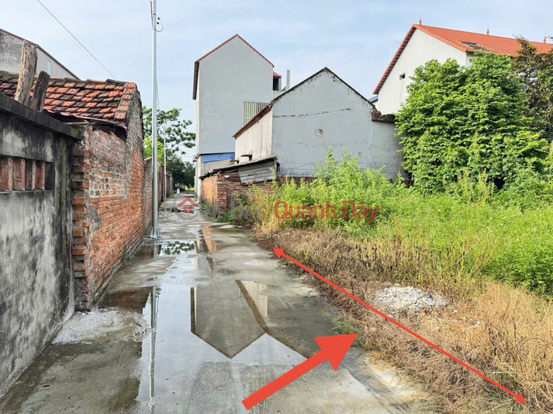 Bán 62m đất thôn Đức Hậu, Thanh Lâm, Mê Linh. Gần chợ Hoa Quả, đường vành đai 4 | Việt Nam Bán, đ 2,15 tỷ